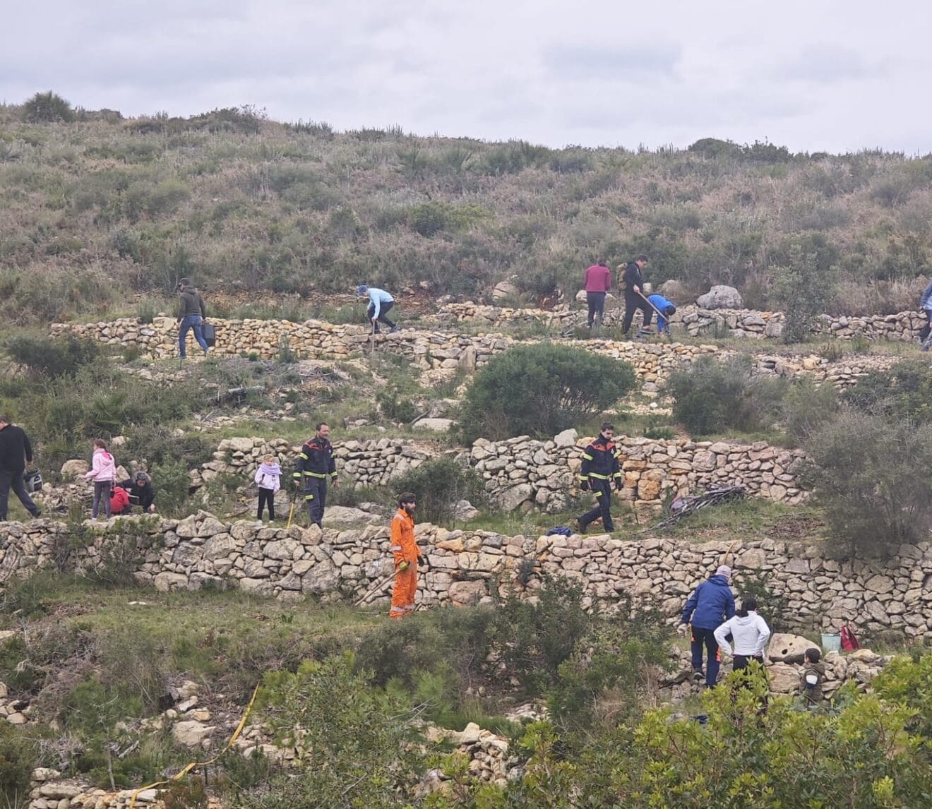 Decenas de personas reforestaron la Granadella