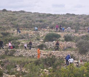 Decenas de personas reforestaron la Granadella