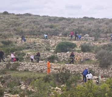 Decenas de personas reforestaron la Granadella
