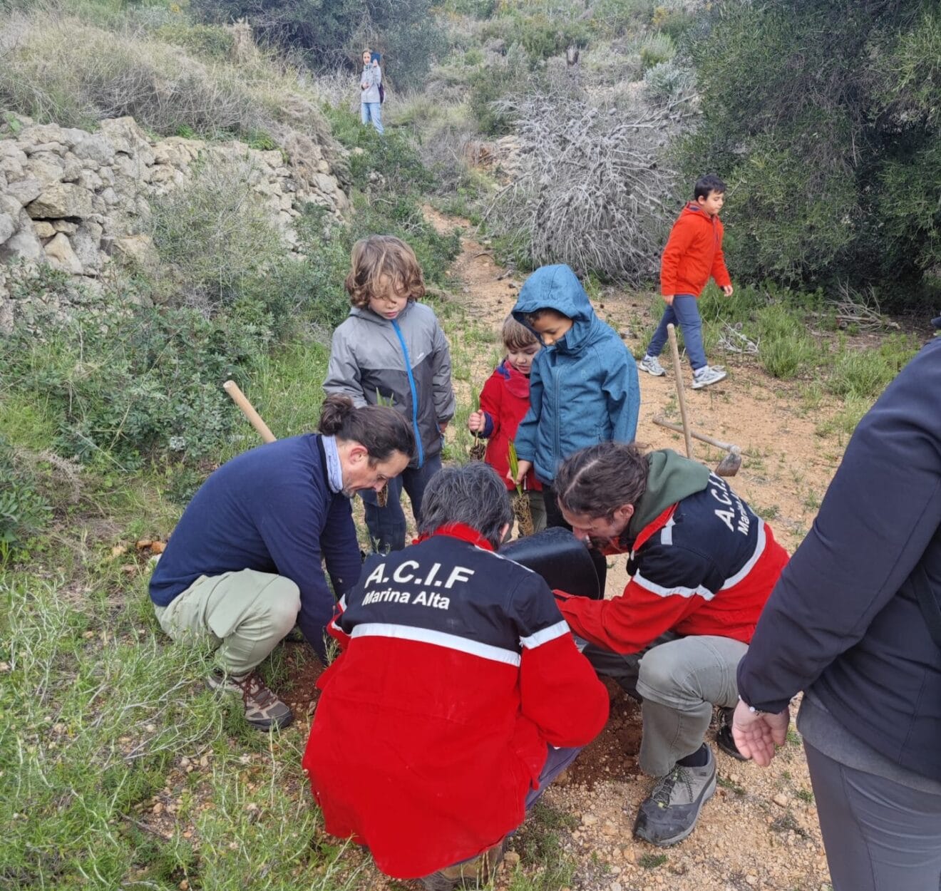 Día del árbol. Reforestando la Granadella