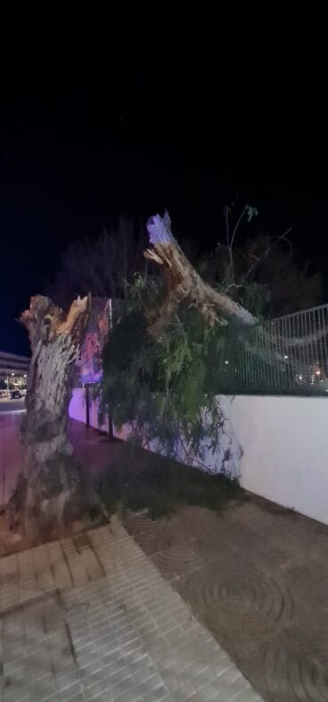 Efectes del vent a diferents punts de Xàbia (9)