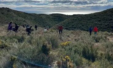 Reforestación en el Parque de la Granadella