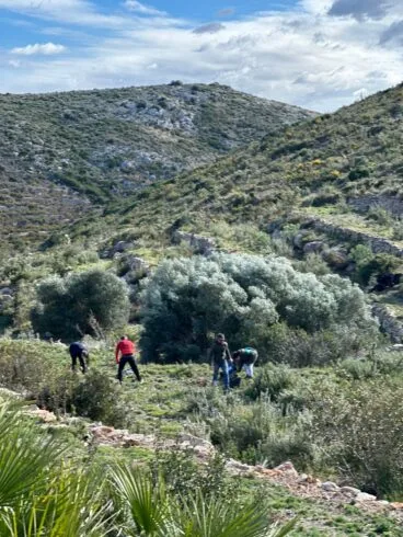 Reforestación en la Granadella