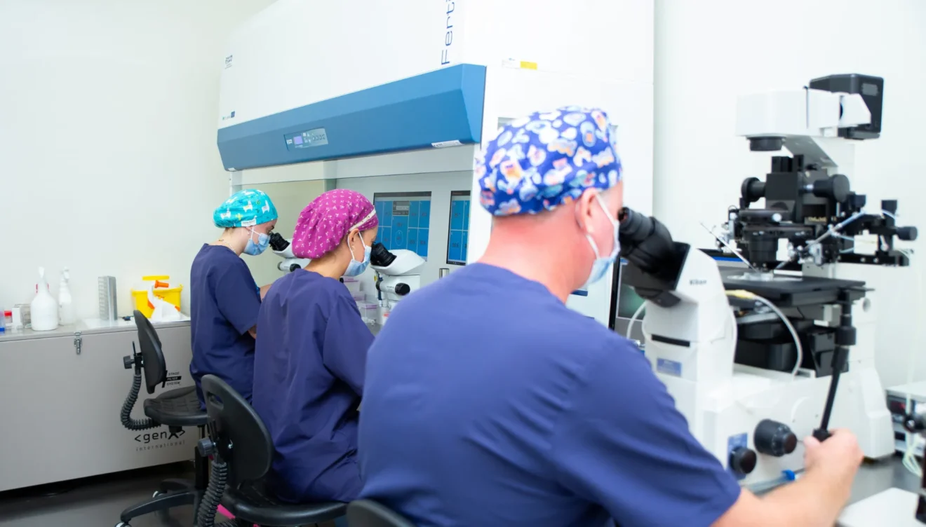 Innovación en Fecundación In Vitro con inteligencia artificial en Marina Alta