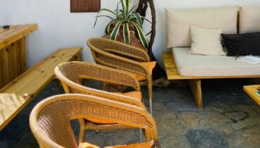 Mantenimiento de jardines y terrazas con productos profesionales