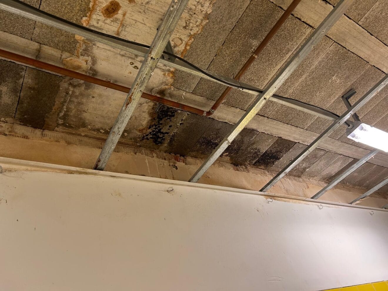 Moho en el techado del aula de infantil del CEIP Arenal de Xàbia