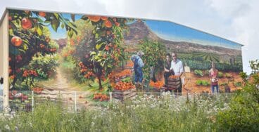 El mural en la nave del Pla de Xàbia que rinde homenaje a una familia y a la historia agrícola local (10)