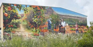 El mural en la nave del Pla de Xàbia que rinde homenaje a una familia y a la historia agrícola local (10)