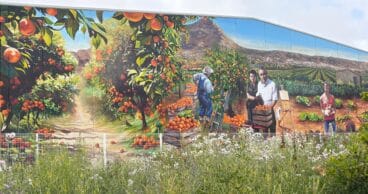 Vista general del mural con el Montgó como fondo simbólico del paisaje de Xàbia.