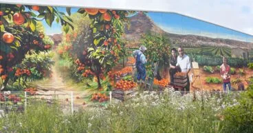 Vista general del mural con el Montgó como fondo simbólico del paisaje de Xàbia.