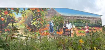 Mural de la historia agrícola de Xàbia pintado por Víctor Goikoetxea