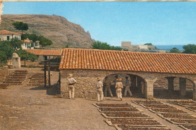Imatge: En un riurau de Xàbia