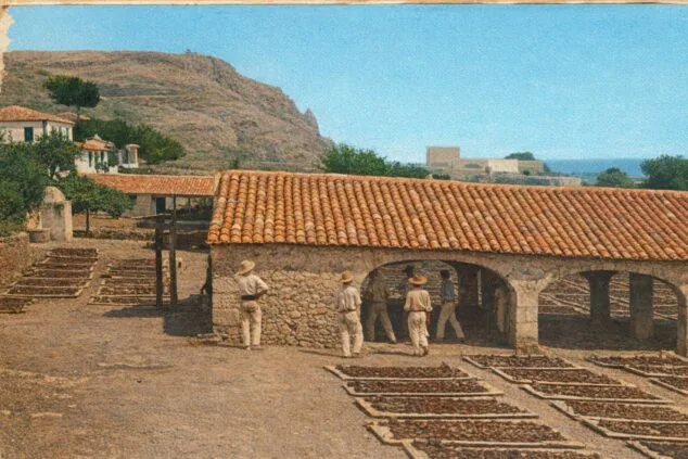 Imagen: En un riurau de Xàbia