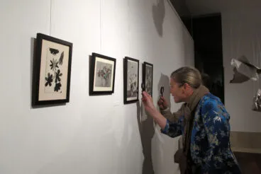 Exposición ‘Scrapology’ de Imma Mengual y Nina Llorens en el Museu Soler Blasco de Xàbia (10)