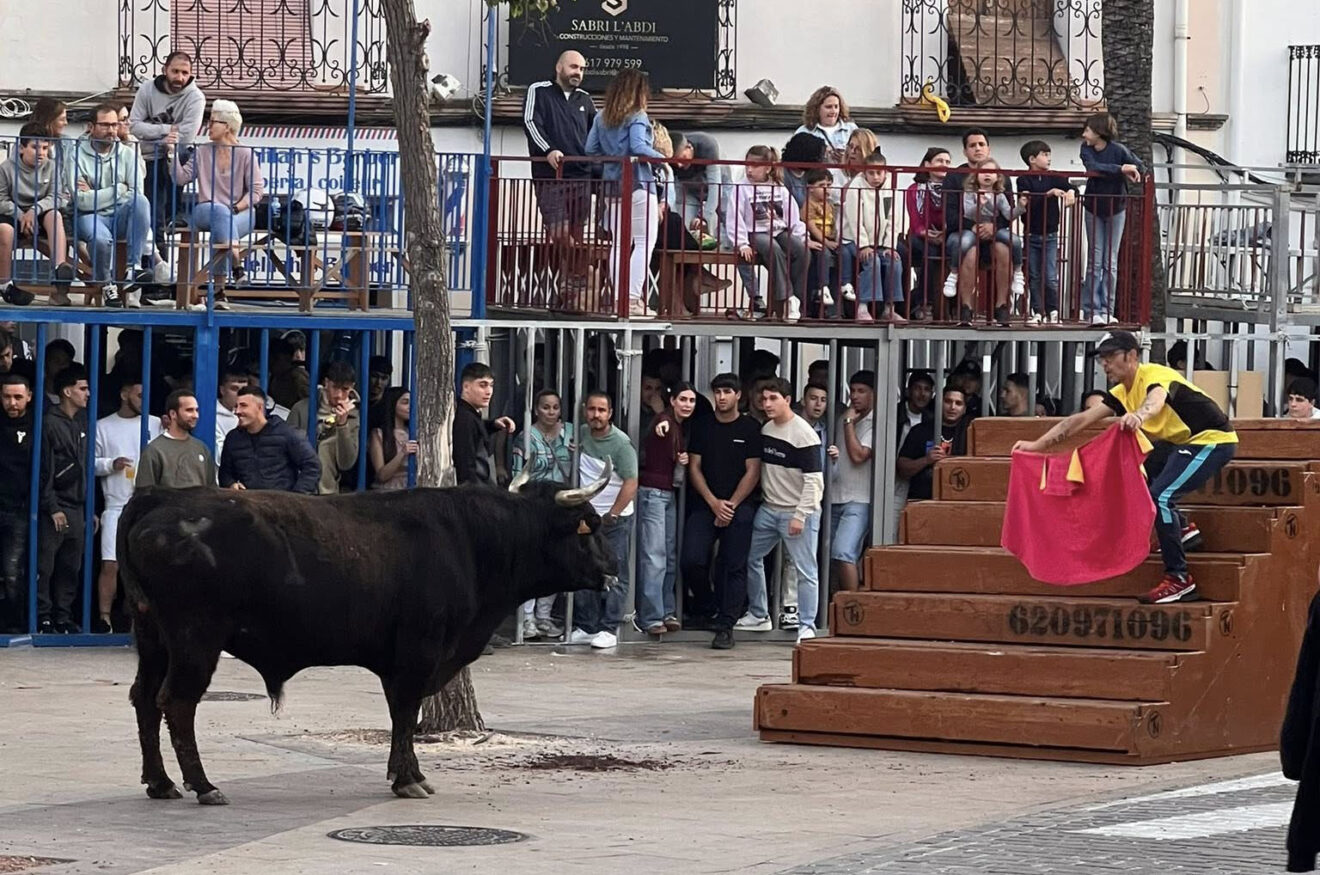 Primera sesión taurina en las fiestas del Nazareno de Xàbia 2026
