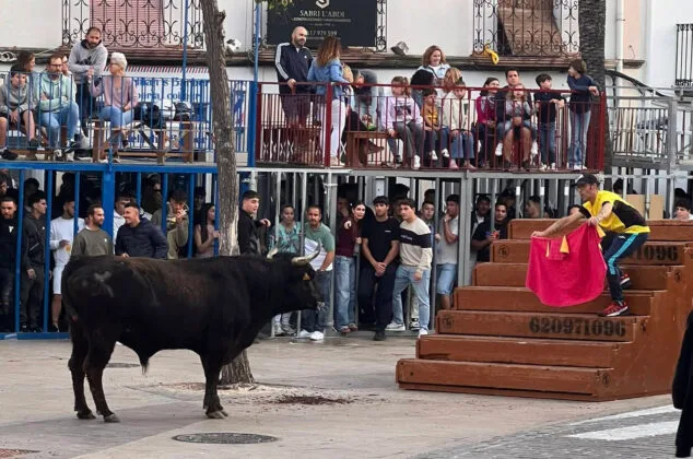 Imagen: Primera sesión taurina en las fiestas del Nazareno de Xàbia 2026