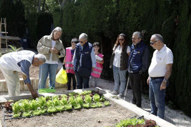 Imagen: Miembros del Rotary Club Jávea observan el huerto escolar del Colegio Port de Xàbia con alumnos y profesores.