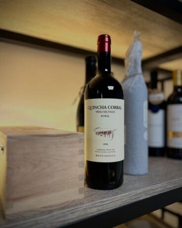 Vinos internacionales premium para cada ocasión