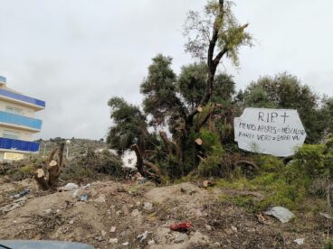 Cartel colgado tras la tala parcial de los árboles (1)