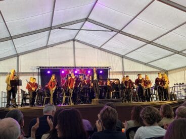 Concierto Benéfico de la Banda Jove de Xàbia a favor de Aspanion (11)