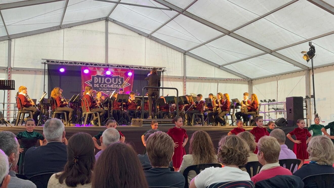 Concierto Benéfico de la Banda Jove de Xàbia a favor de Aspanion (7)
