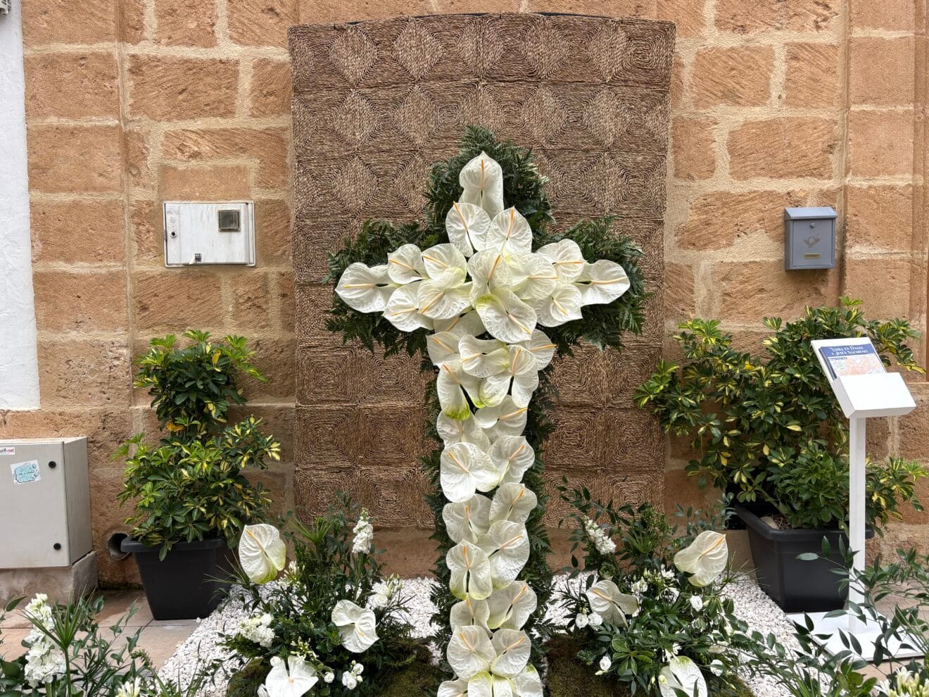 Cruces a Jesús Nazareno 2026 (35)