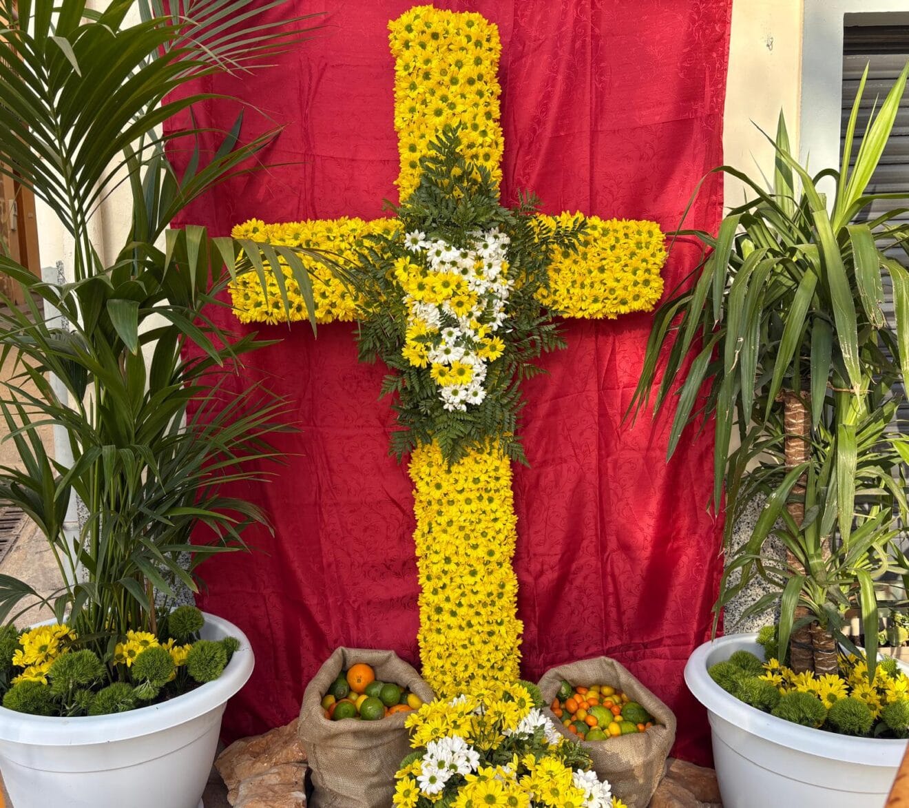 Cruces de Mayo 2026 Xàbia (3)