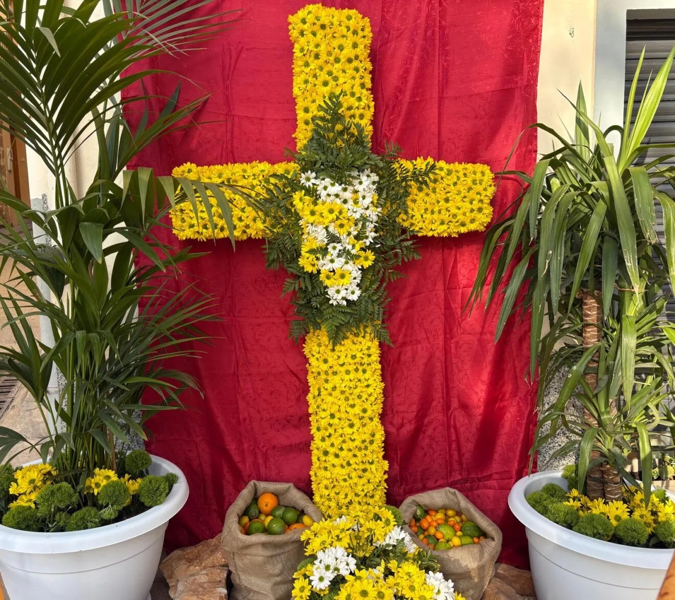 Cruces de Mayo 2026 Xàbia (3)