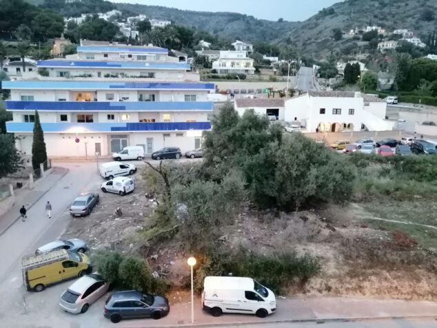Imagen: Estado de la parcela