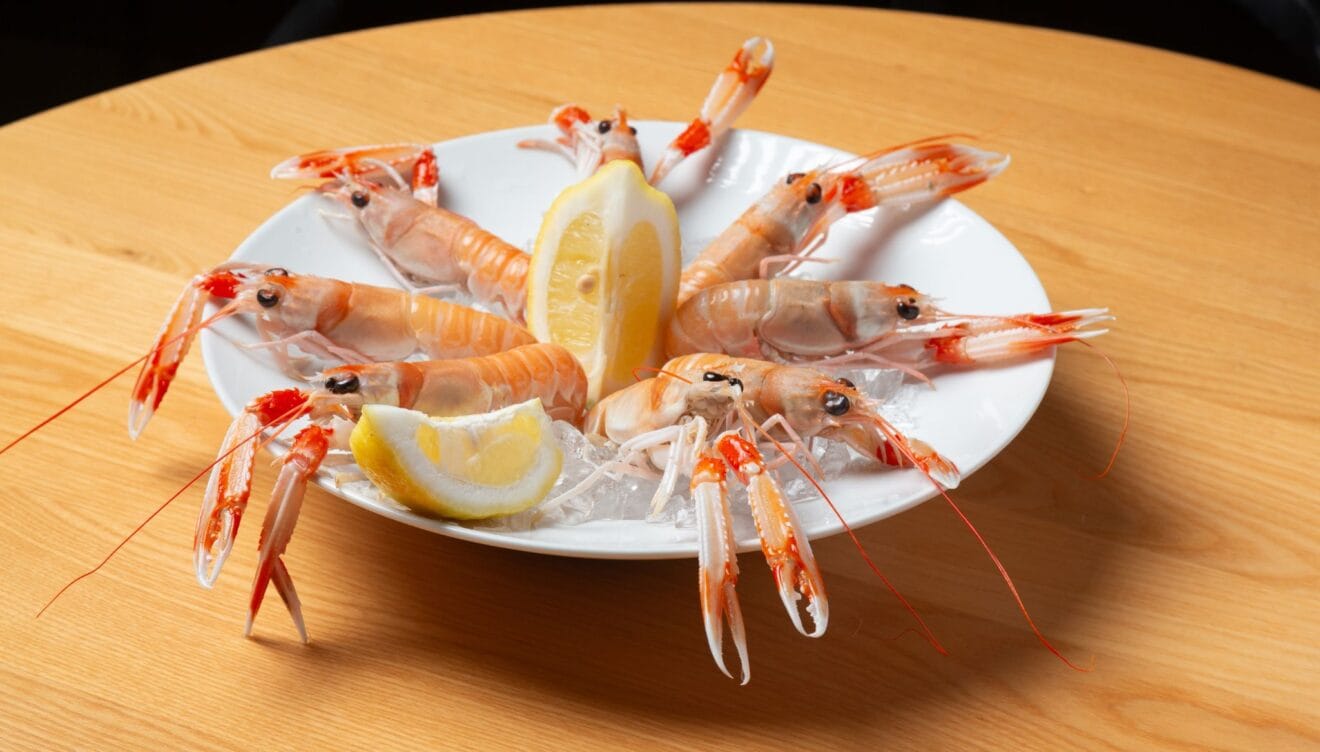 Mariscos y pescados de lonja a precios imbatibles