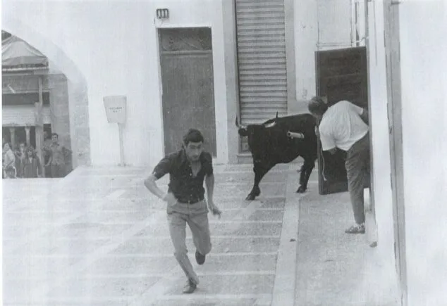 Imagen: Bous a la Plaça de l'esglèsia. Any 1974 | Foto Arxiu Municipal de Xàbia