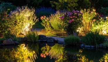 Convierte tu espacio exterior en un auténtico jardín de noche