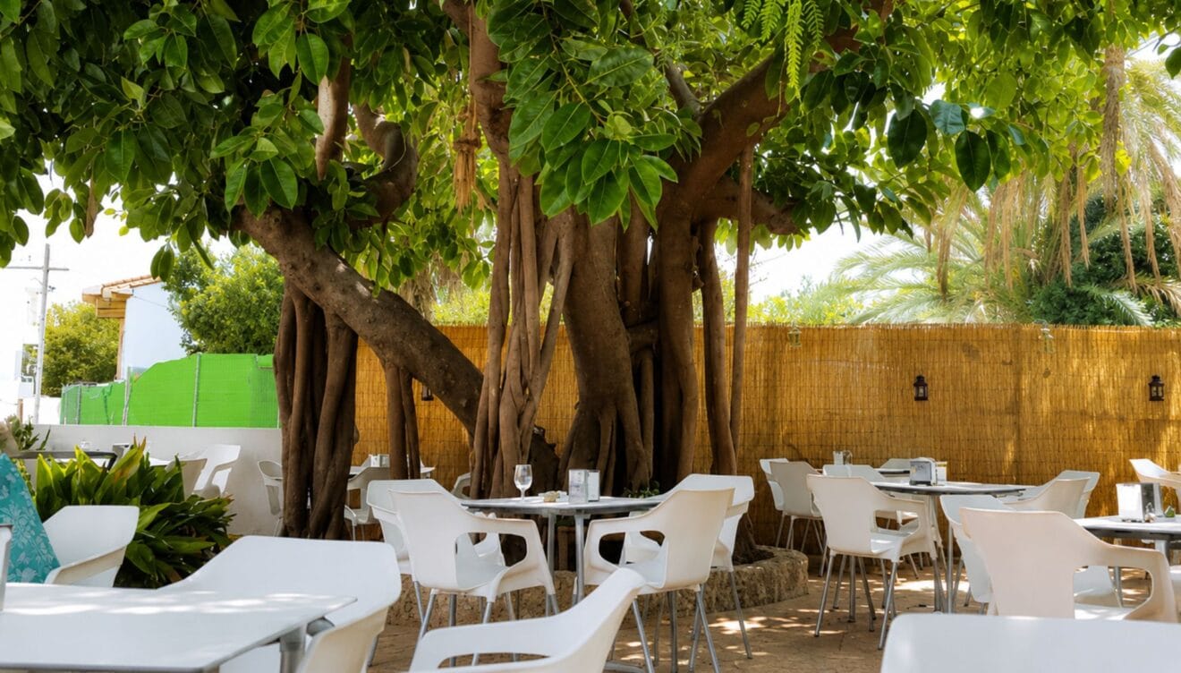 El arte del almuerzo valenciano en la Plaza Constitución de Xàbia
