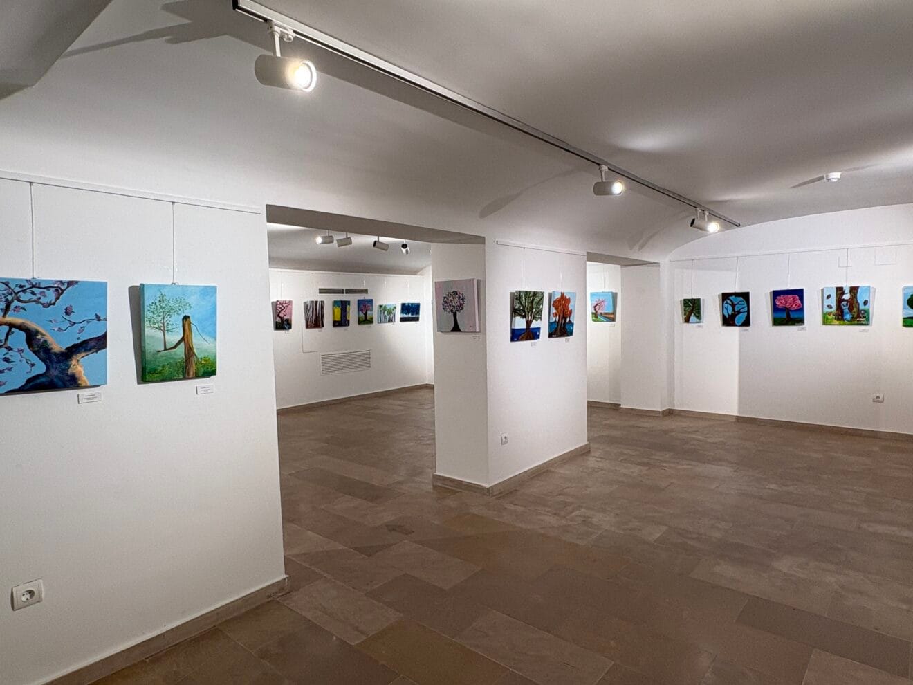 Inauguración de la exposición de la Escola de Pintura Xàbia (11)