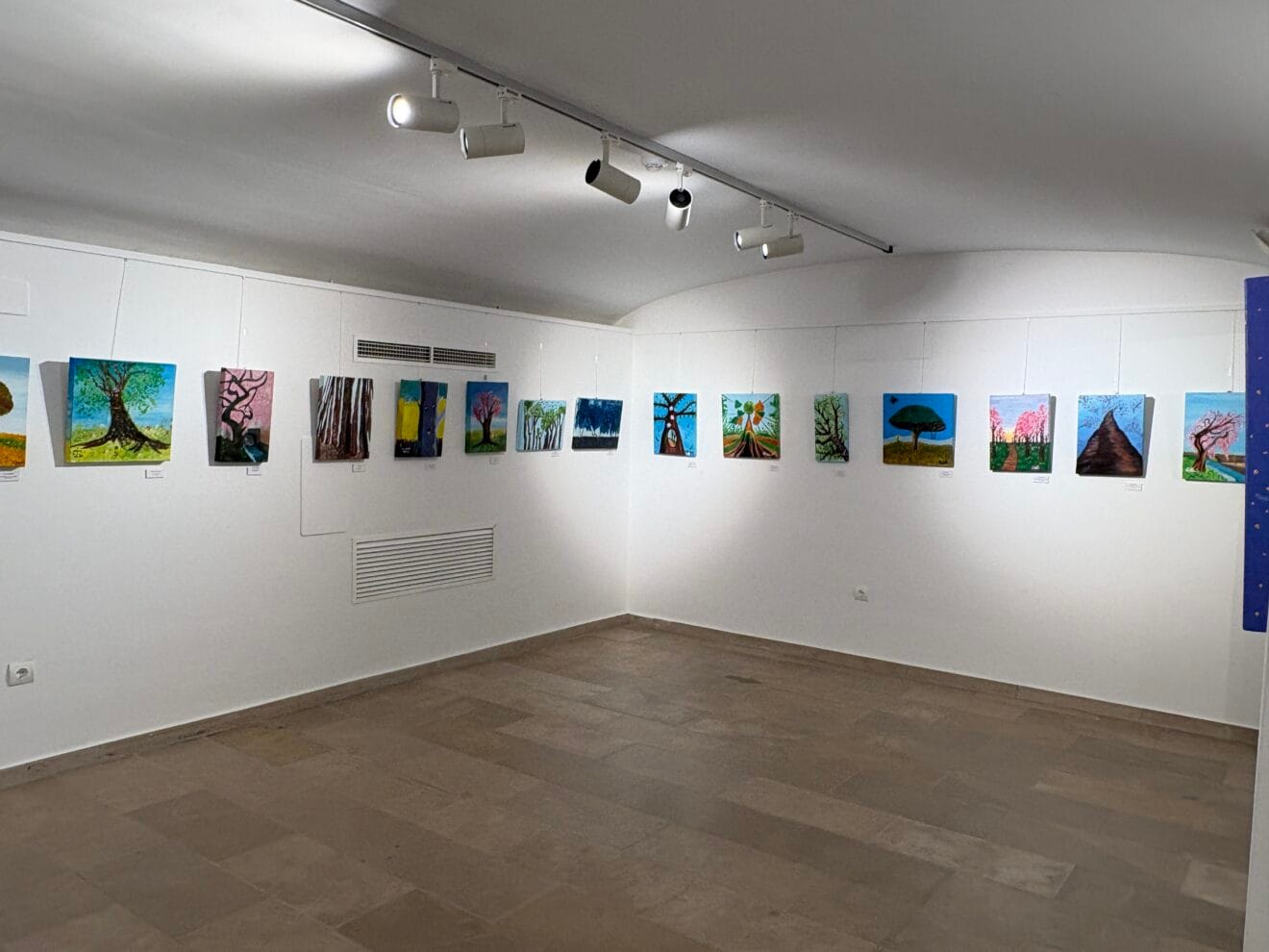 Inauguración de la exposición de la Escola de Pintura Xàbia (8)