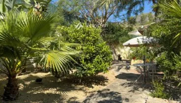 Jardín con vegetación natural