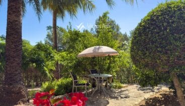 Jardines verdes tranquilos