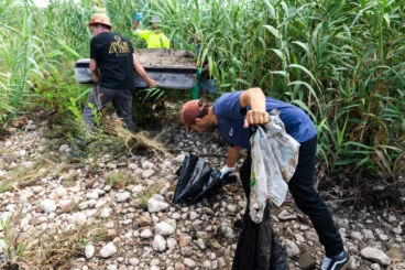 Limpieza en el cauce del río Gorgos (33)