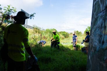 Limpieza en el cauce del río Gorgos (62)