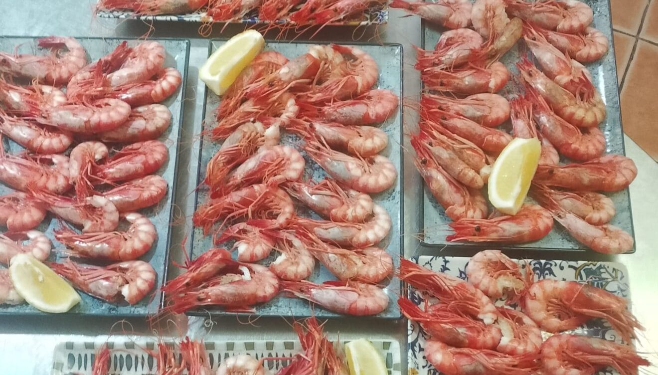 Marisco fresco para disfrutar de la cocina mediterránea