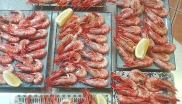 Marisco fresco para disfrutar de la cocina mediterránea