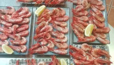 Marisco fresco para disfrutar de la cocina mediterránea