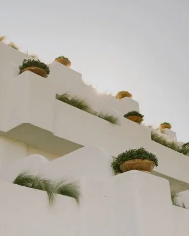 Ritual de Terra Jávea