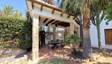 Amplia superficie de césped natural con palmeras y vegetación mediterránea