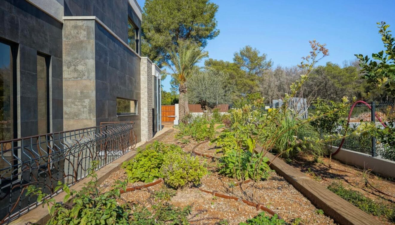 Olivos centenarios y árboles frutales