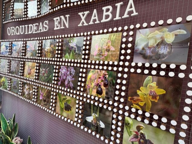 Panel informativo exterior con el texto 'ORQUÍDEAS EN XABIA' y una cuadrícula de fotografías de diferentes especies de orquídeas.