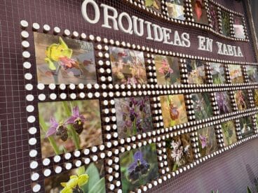 Panel «Orquideas en Xabia» con fotografías de flores