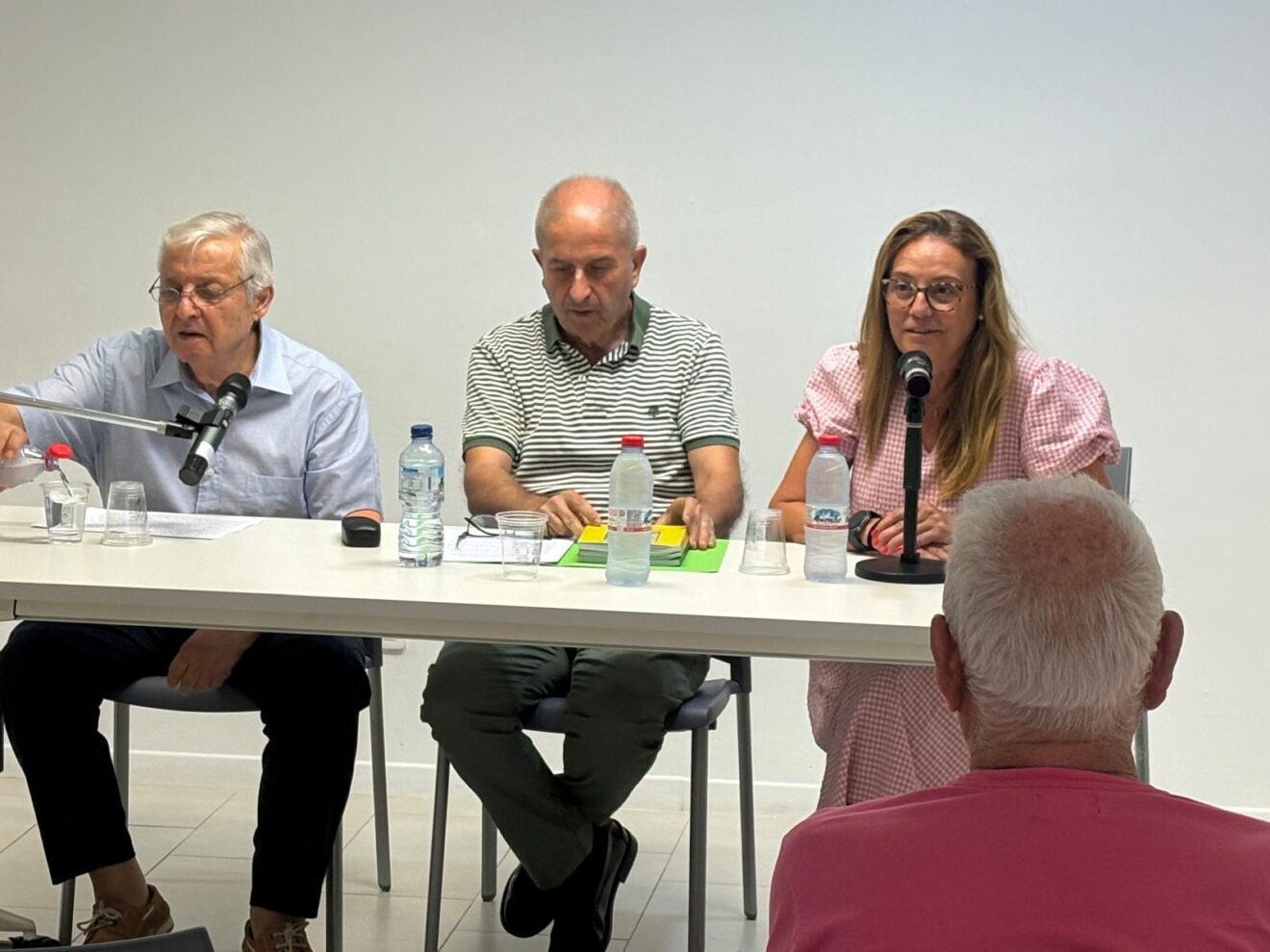 La concejala de Cultura Mavi Pérez durante la presentación