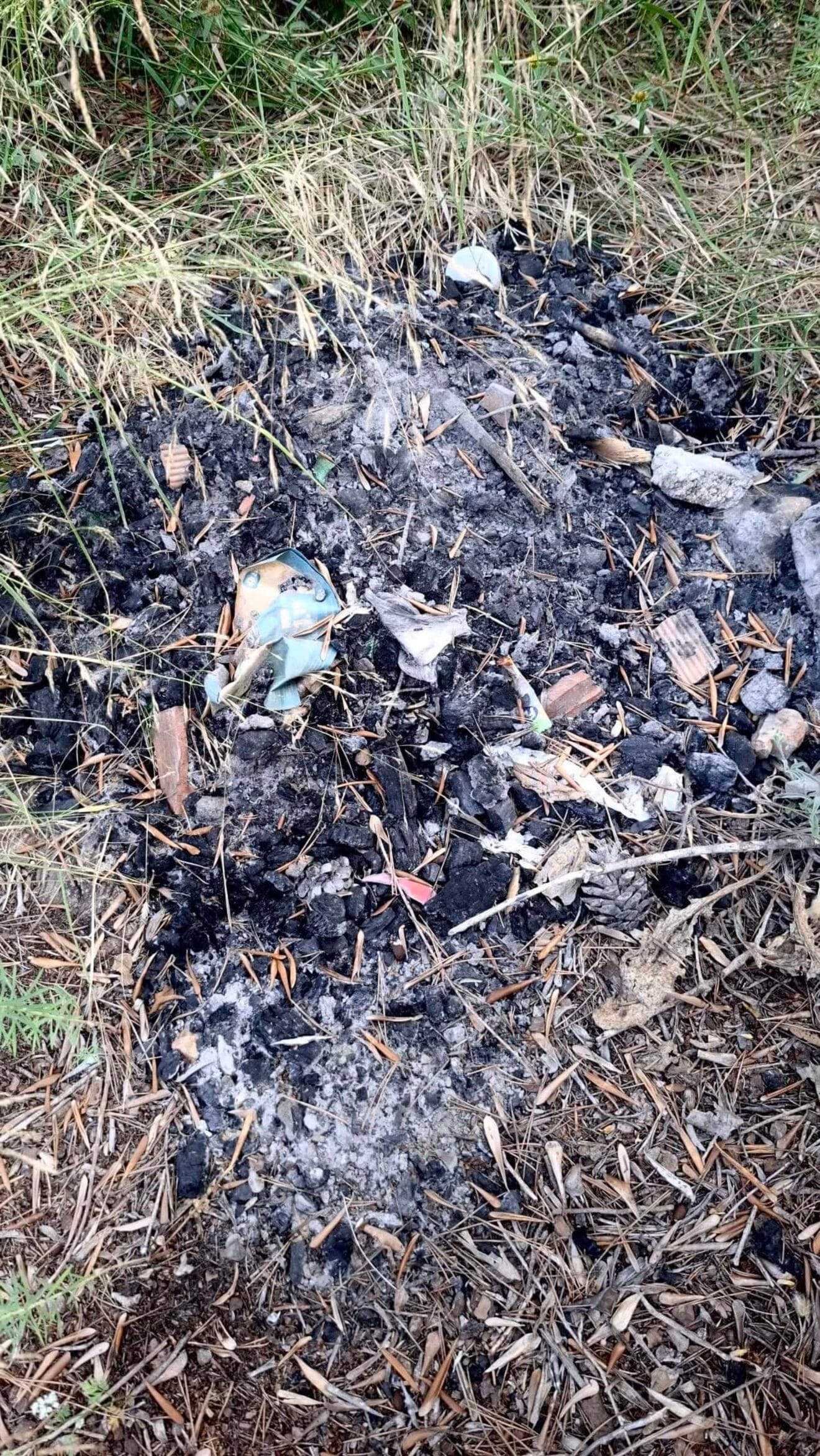 Restos de barbacoa ilegal en zona de vegetación en Xàbia