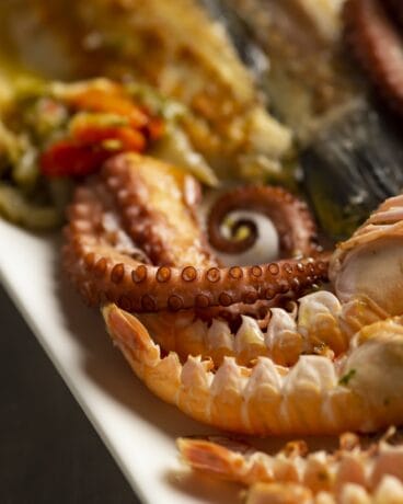 Sabor mediterráneo libre